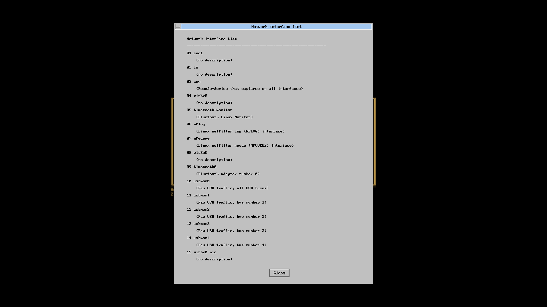 Network Interface List